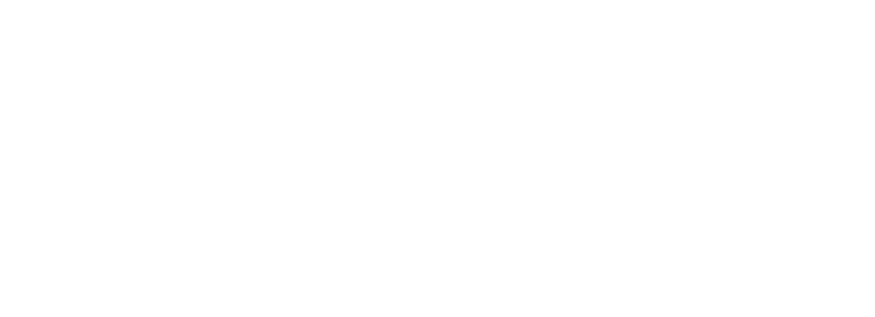 元力芯